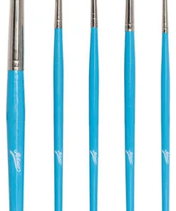 5 Piece Artist  Brush Set