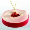 entremet cake silicone mold - Pavoni