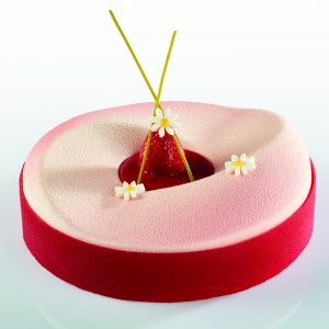 entremet cake silicone mold - Pavoni