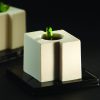 Cube Individual Dessert Mold for modern dessert