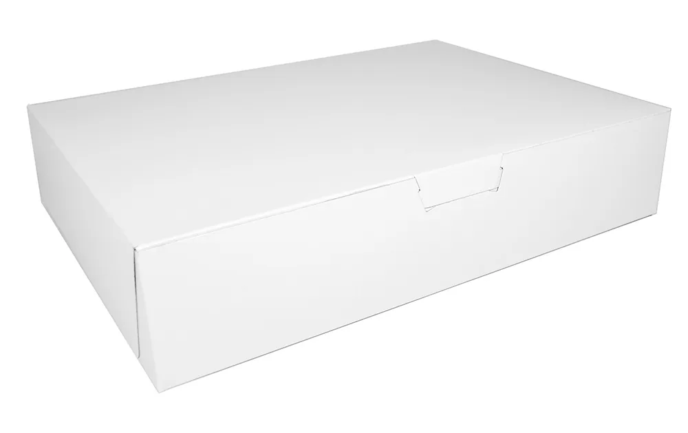 Case-White 19x14x5" Bakery Box