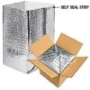Large Warm Weather Packaging - Insulated Box and Ice Packs
