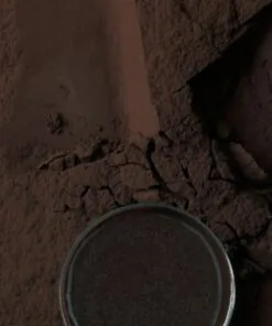 Black Cocoa Powder 1kg