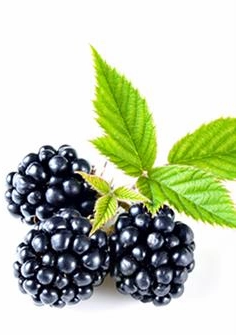 Blackberry Super Strength 4oz - Image 2