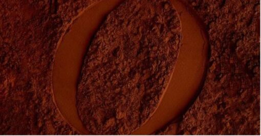 Belcolade Premium Dutch Cocoa Powder 22/24