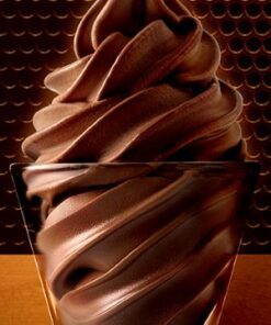 Choco Pro Sprint (Source of Protein)