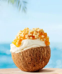 CrumbOlé Coconut Gluten Free Arabeschi