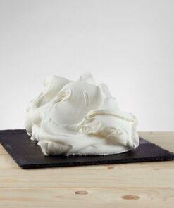 Neutro (Ice Cream Stabilizer) Powder